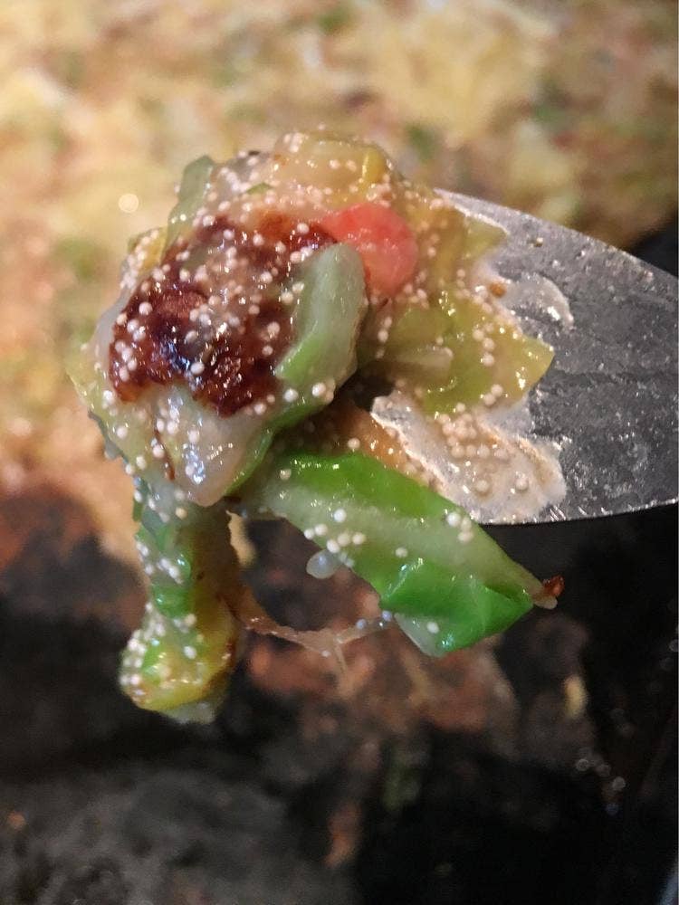 もんじゃ 四つ葉