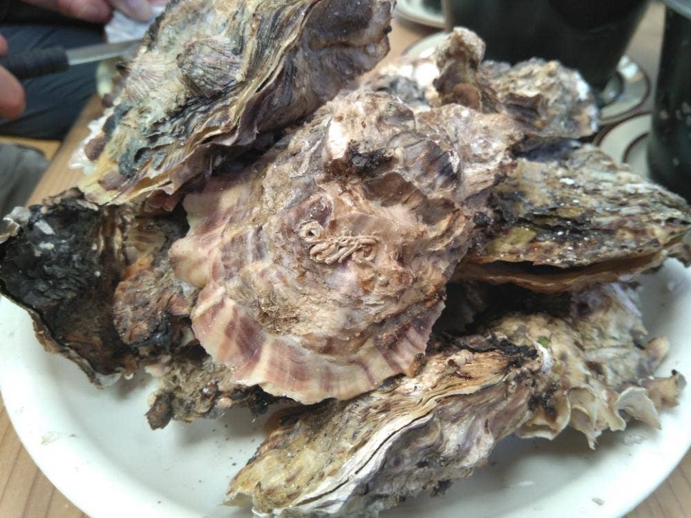 藤栄水産