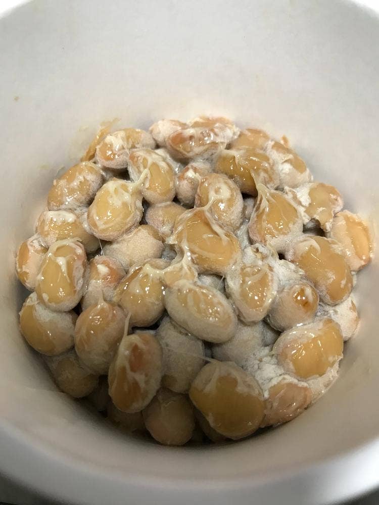 納豆BAR小金庵