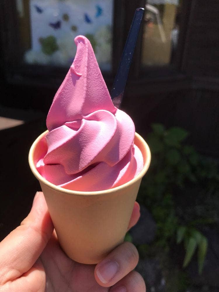 オープンカフェ Rose Garden くじゅう花公園