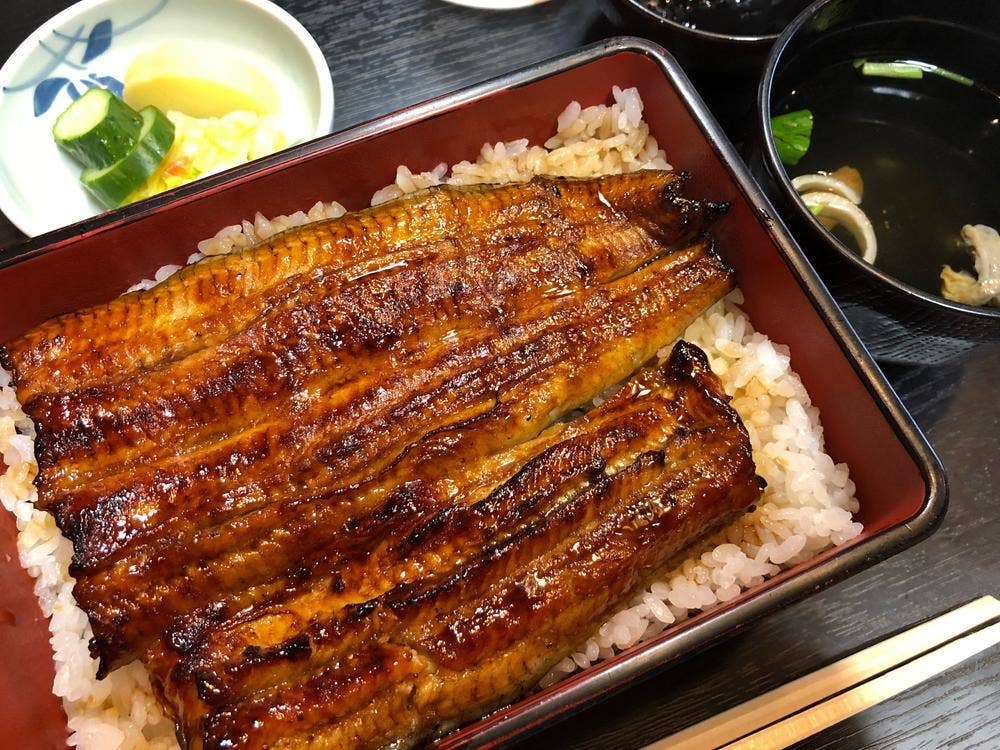 名物うなぎ 幸楽園