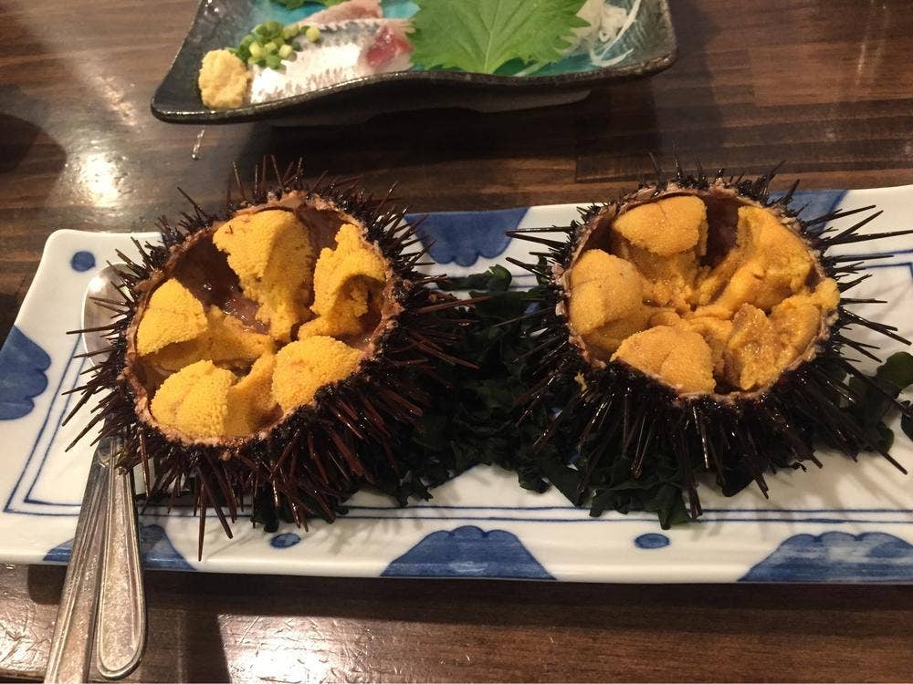 魚甚