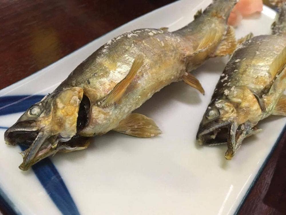 綾戸簗