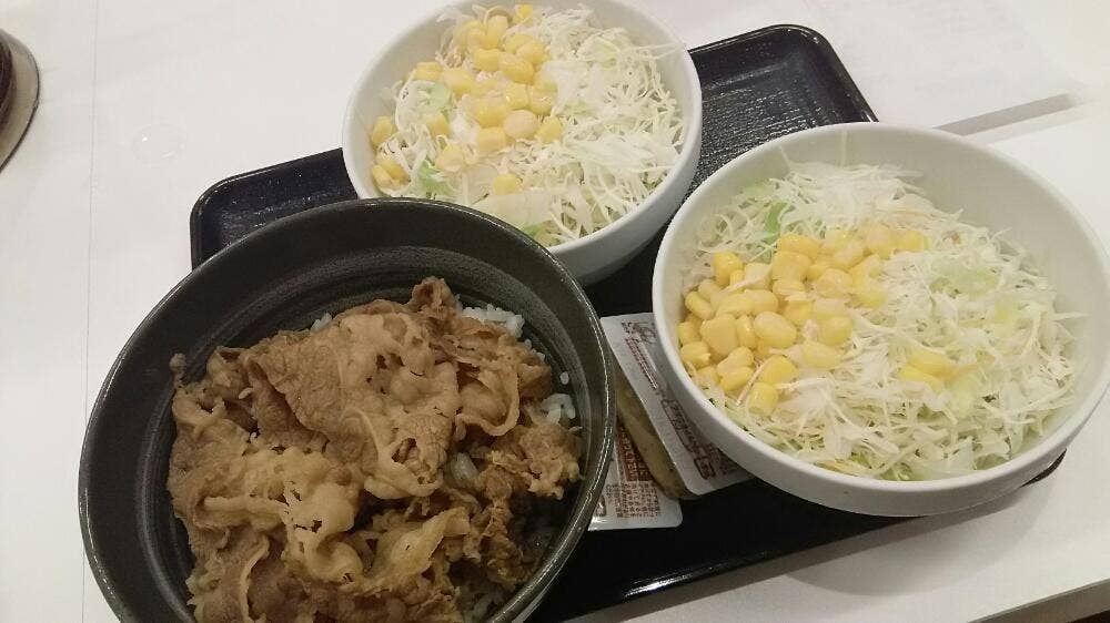 吉野家 1号線御油店