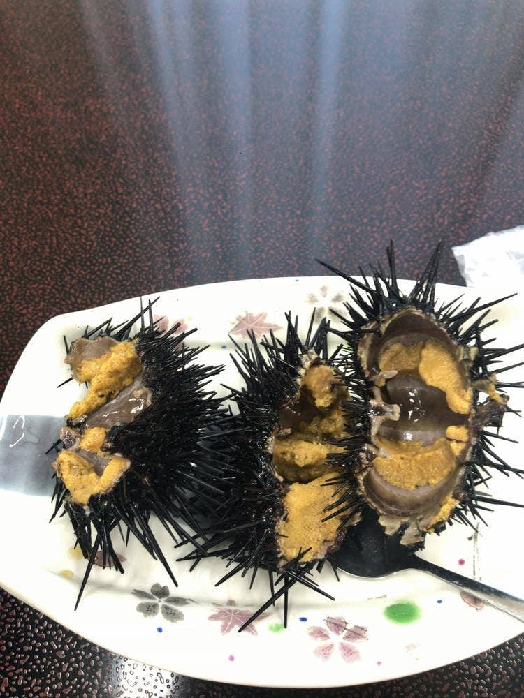 浜のダイニング 魚々の女房 海さんぽ