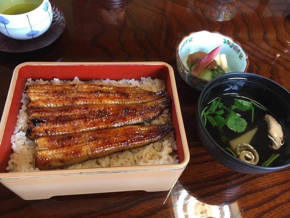 小島家