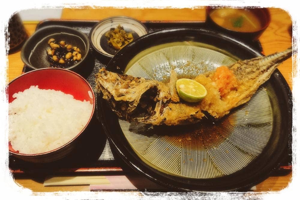 酒菜 せお