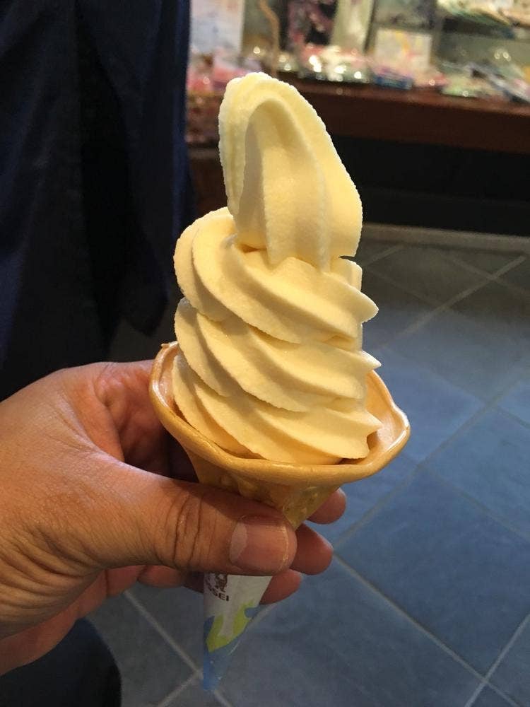 松浦酒造 つくしや