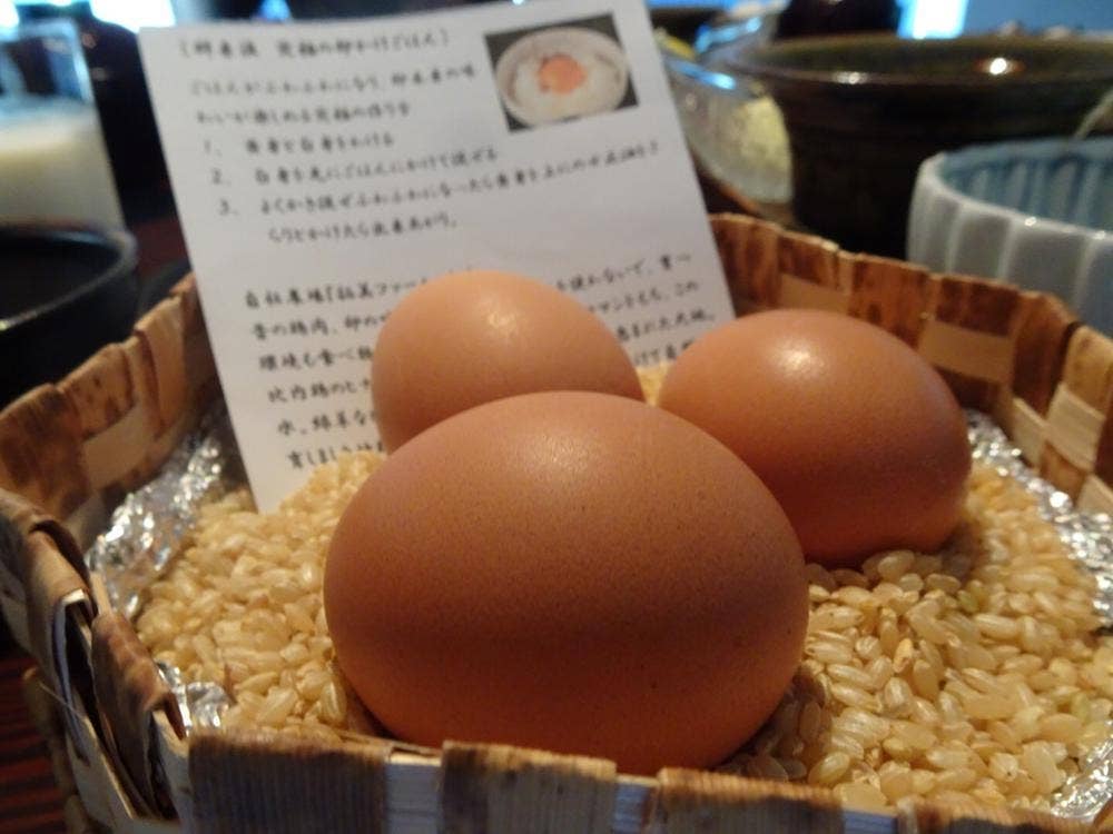 二十五錨 江差旅庭 群来