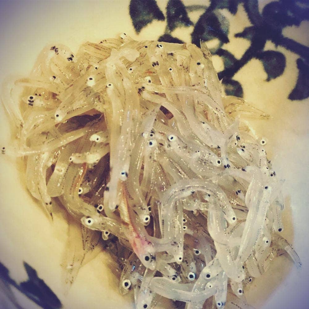 鮨 酒菜 秀人
