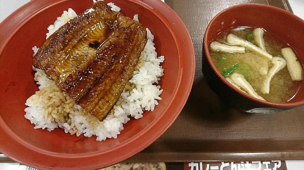 すき家 住之江大和川通店