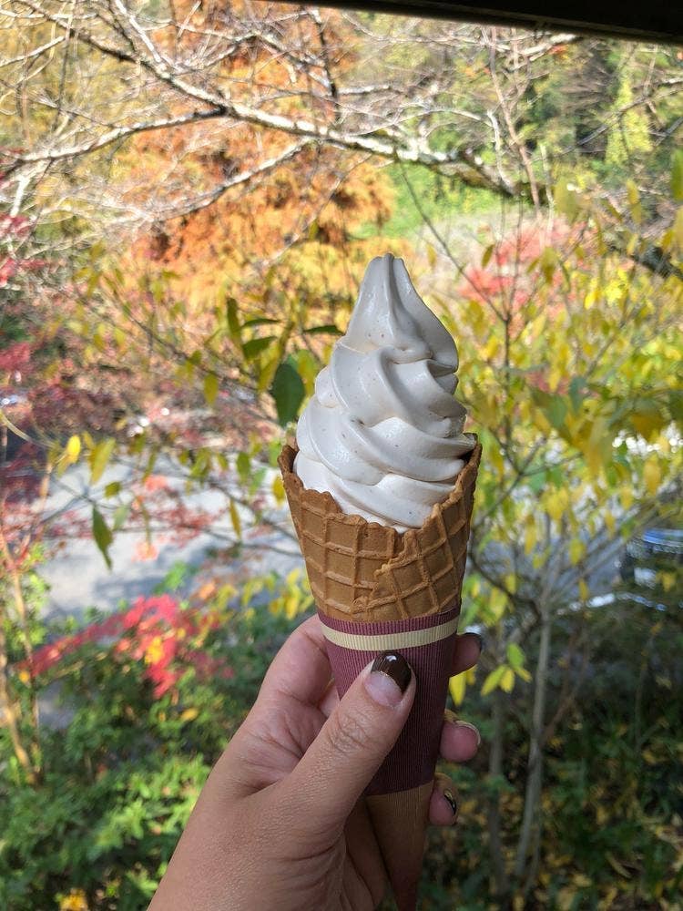 桜カフェ