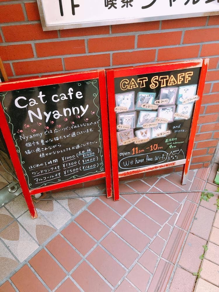 cat cafe Nyanny