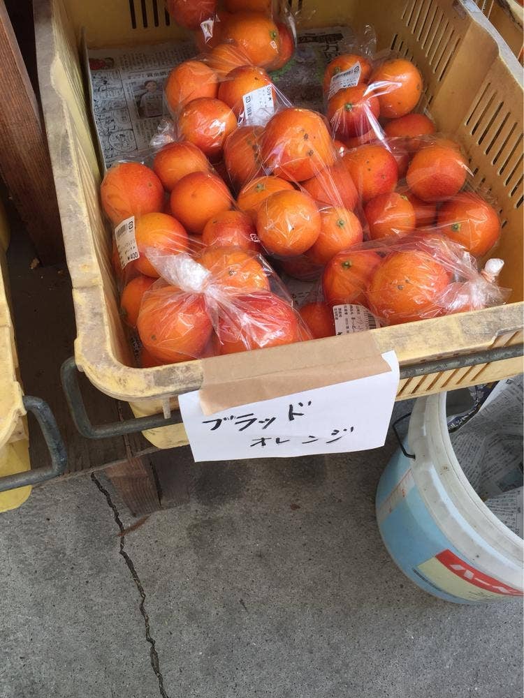 吉田きなはいや