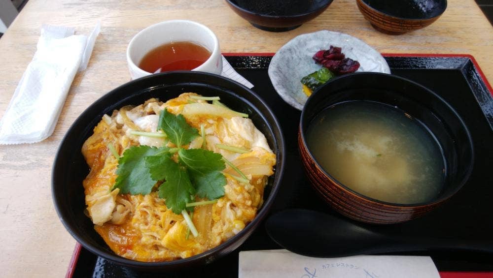 カフェレストラン すてんぱれ 浦安市郷土博物館
