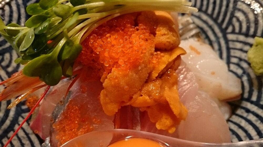 海専 松魚
