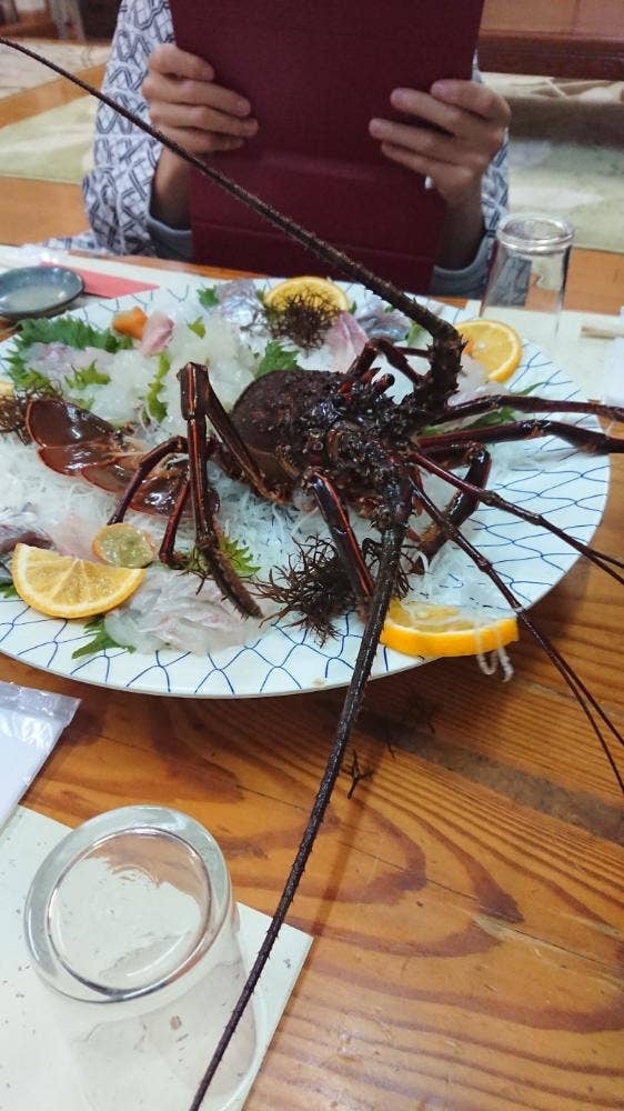 民宿 紺碧
