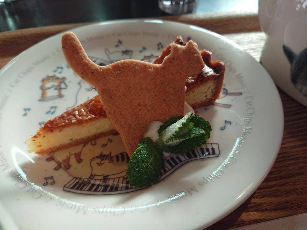 カフェ猫の散歩道