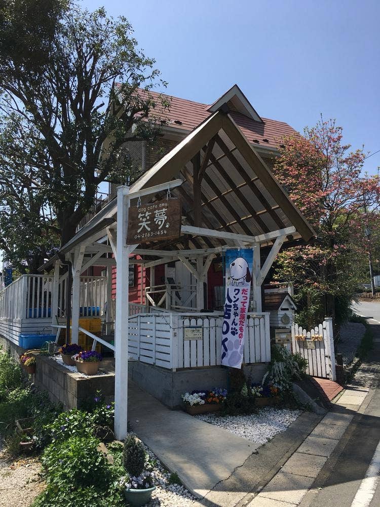 dog cafe 笑夢 emu