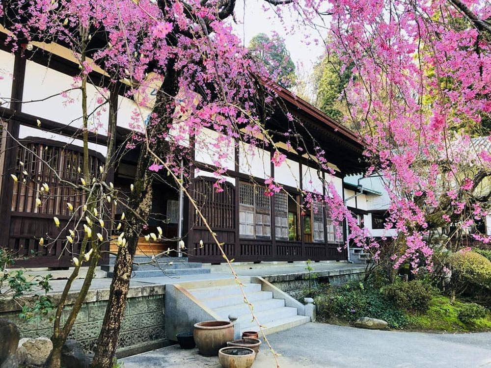 曹洞宗 大葉山 普済寺