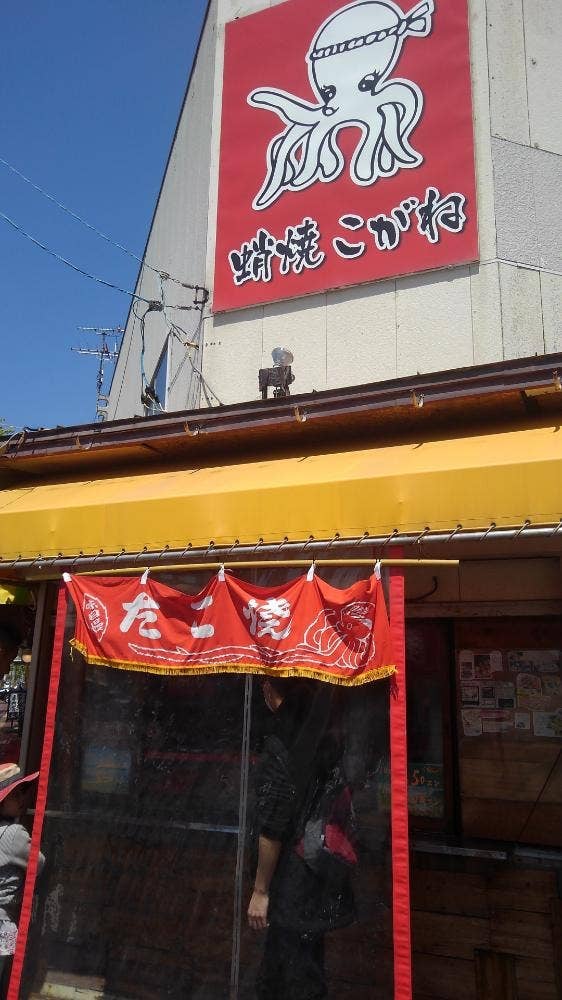 たこやきこがね