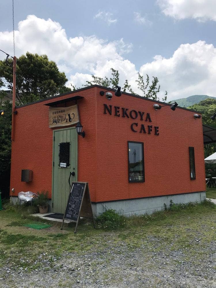 猫屋カフェ 本店