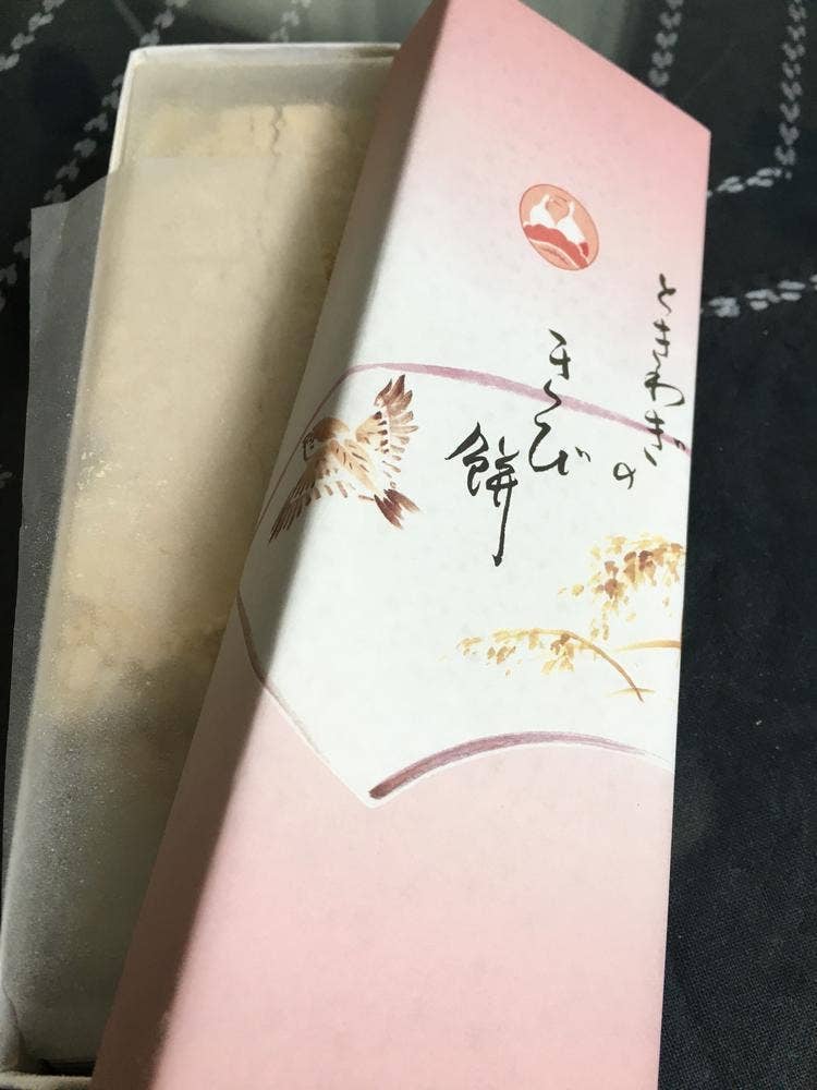 ときわぎ 常盤木