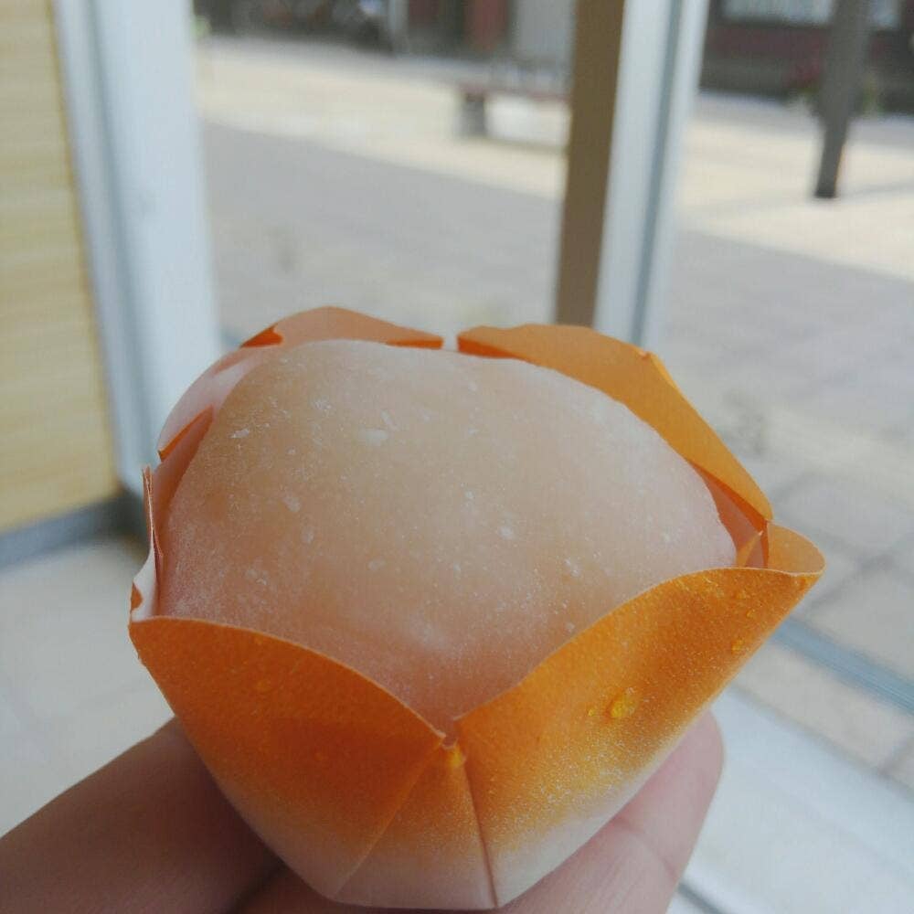 村中甘泉堂 プリズム福井店