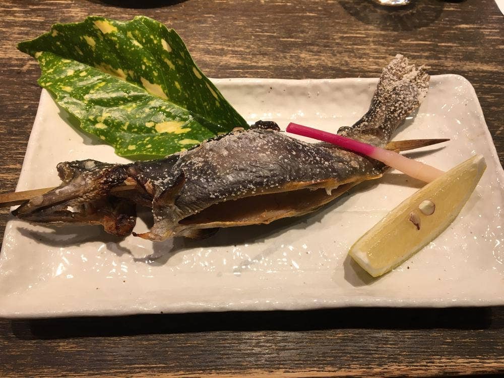 小川の魚