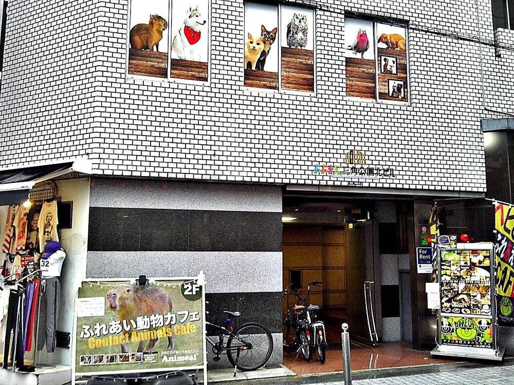Animeal 心斎橋店