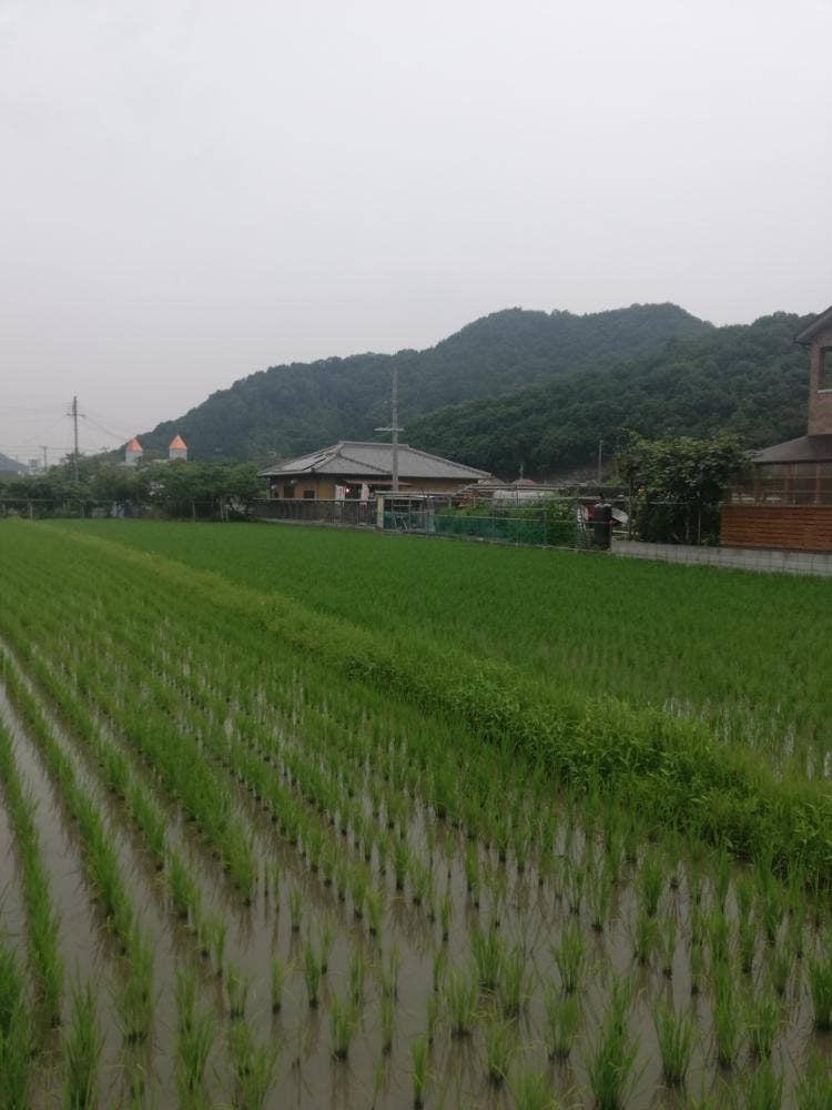 司庵