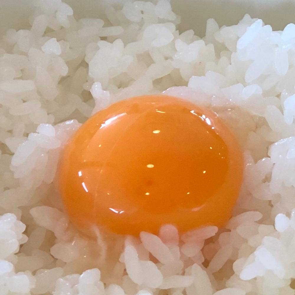 すき家 須坂墨坂店