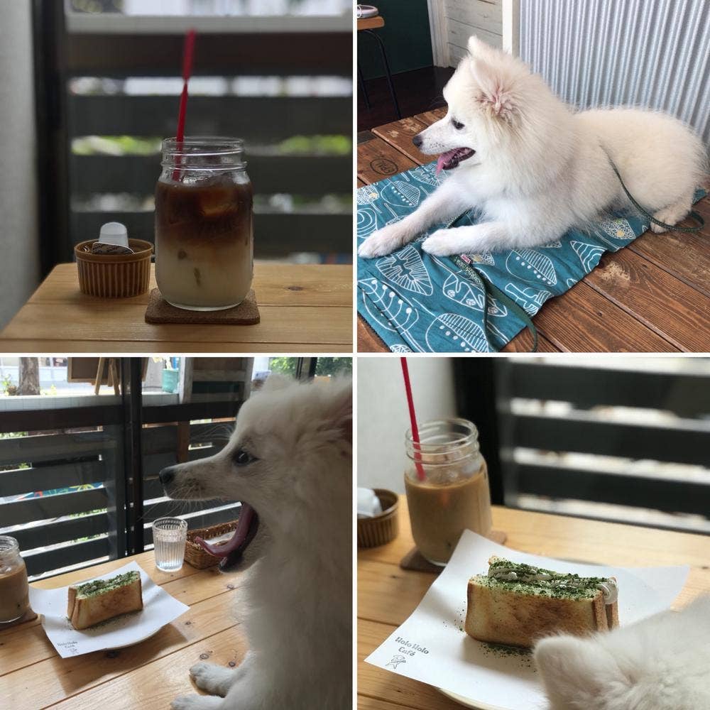 ホロホロ カフェ