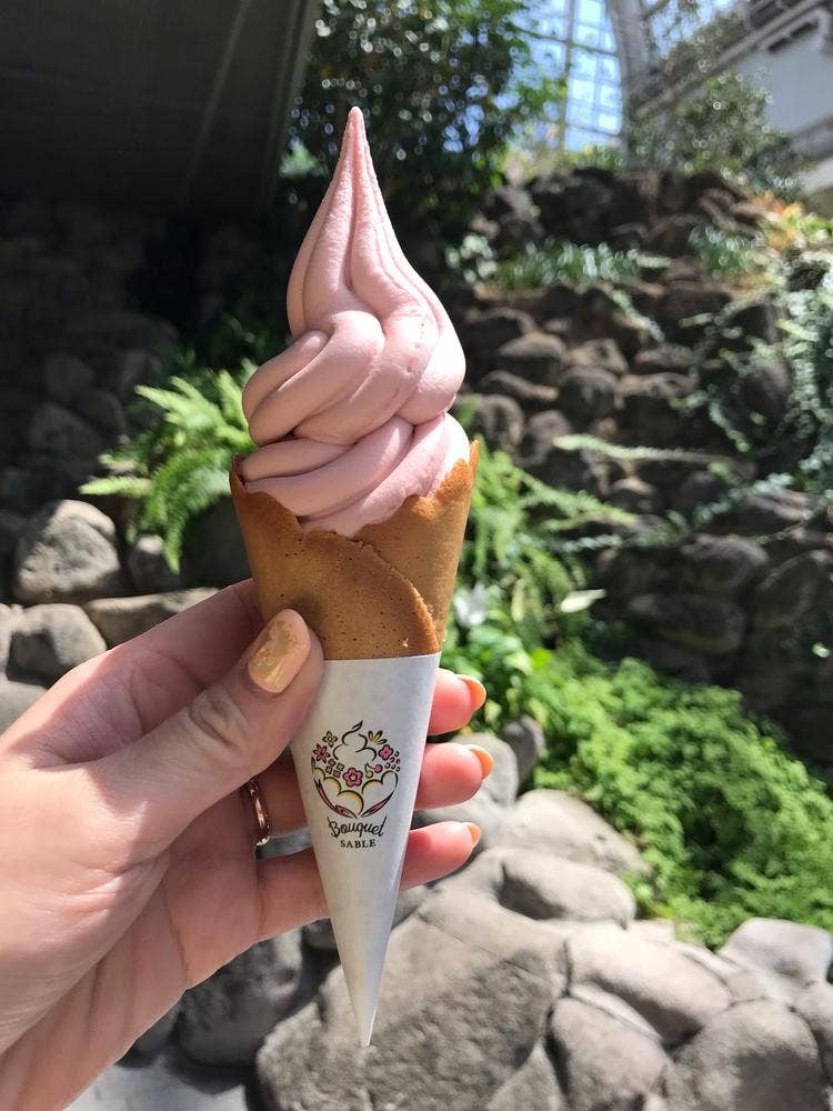ALBERO サッポロファクトリー店