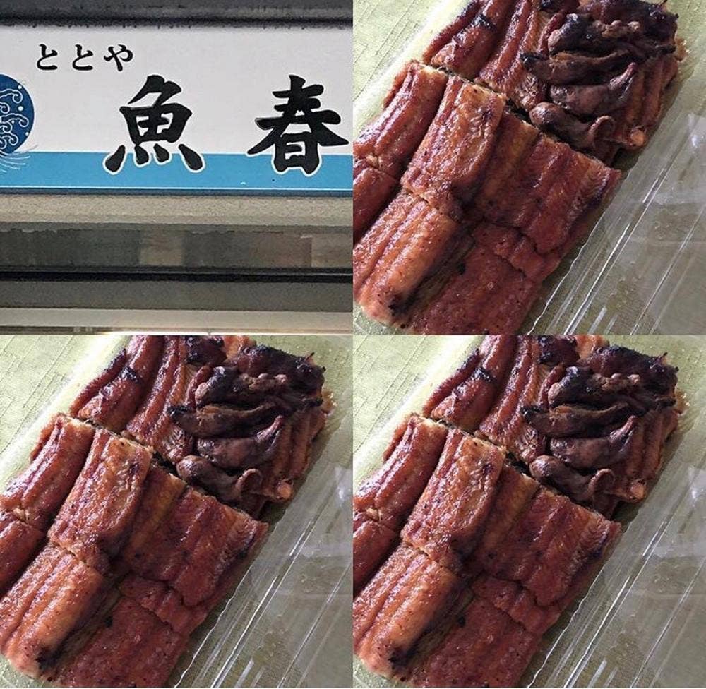ととや魚春