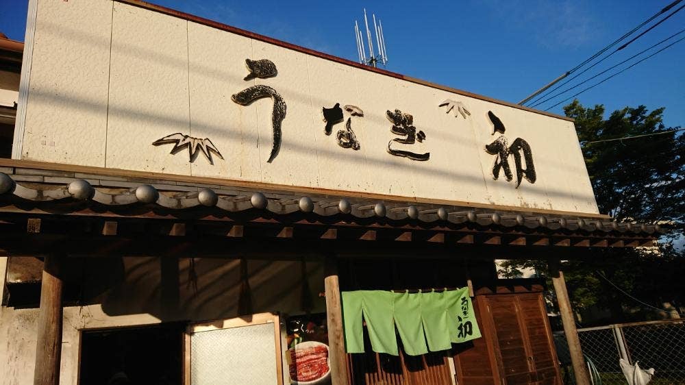 うなぎ初