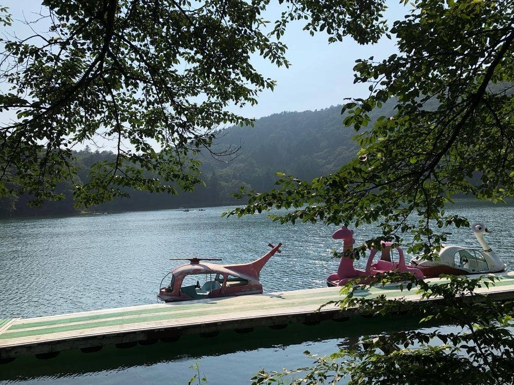 湖畔cafe NATIVE GARDEN+