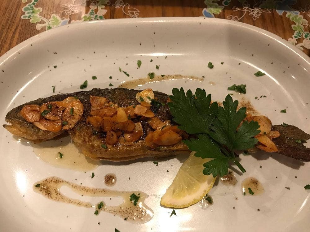 ガストホフ ハイ・ウィング