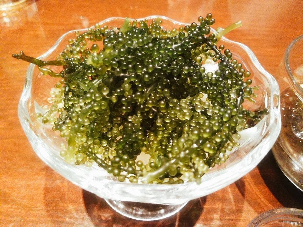 絆居酒屋 わらいえん