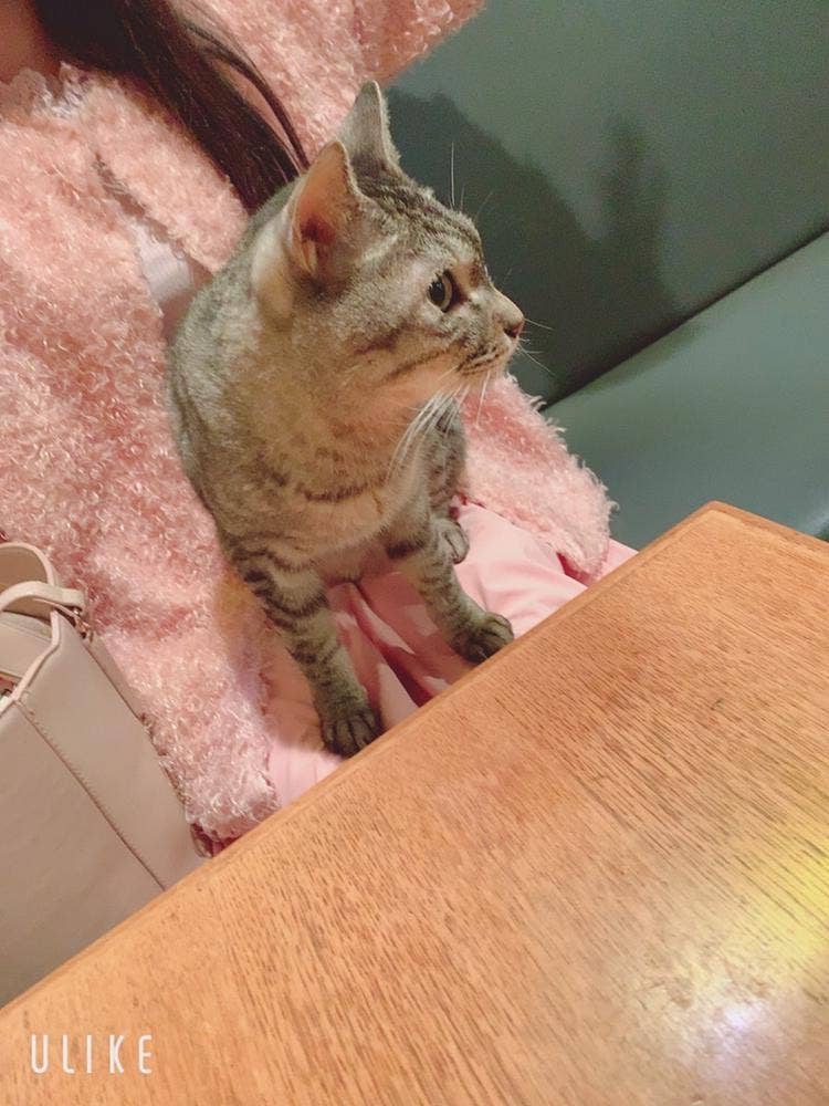セブンカフェ