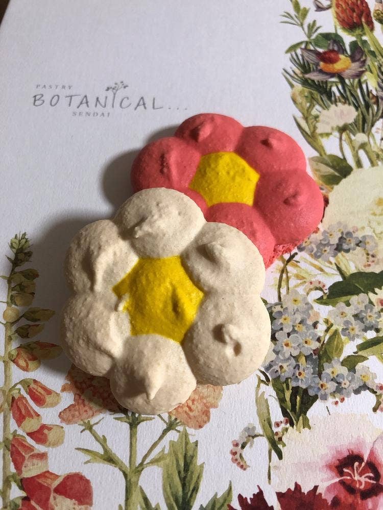 ペストリーボタニカル…S-PAL店