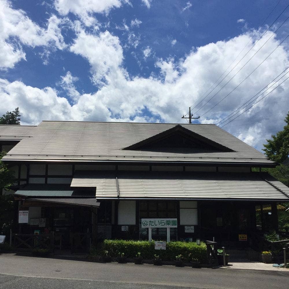 カタクリの郷
