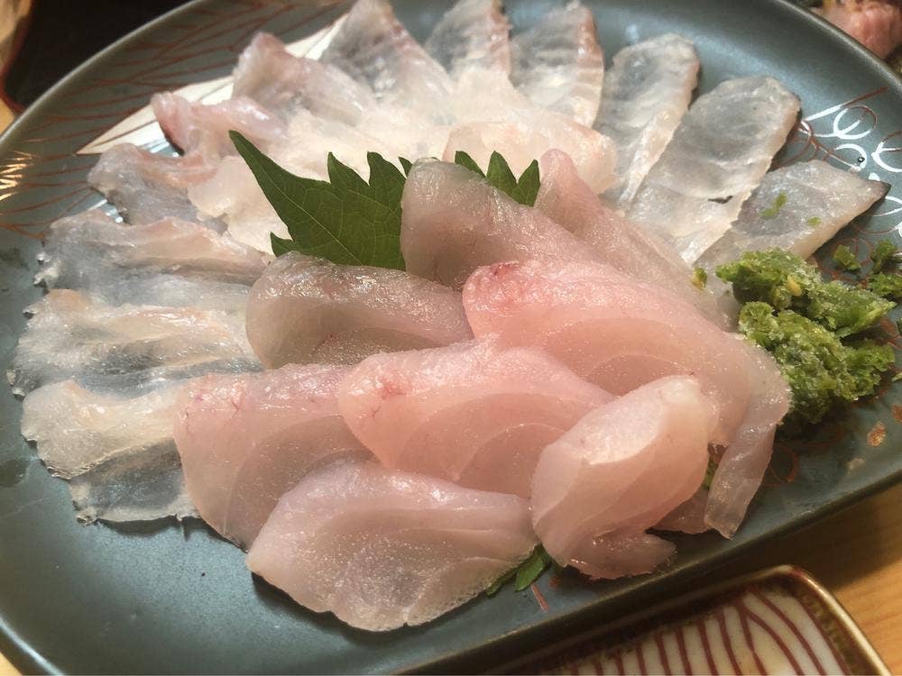 活魚料理河八