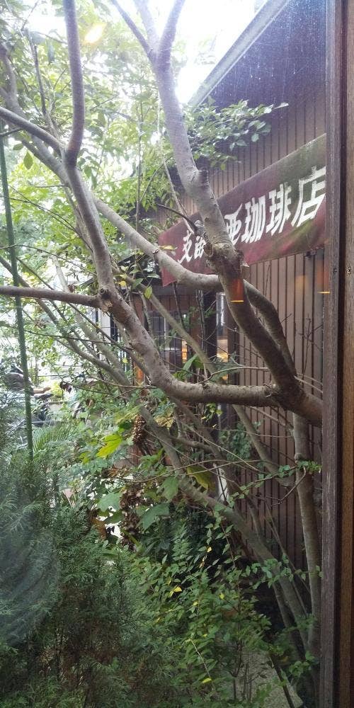 支留比亜 東山店