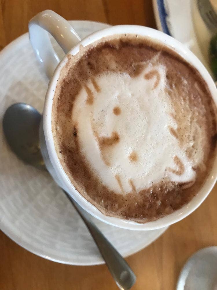 Cafe REI
