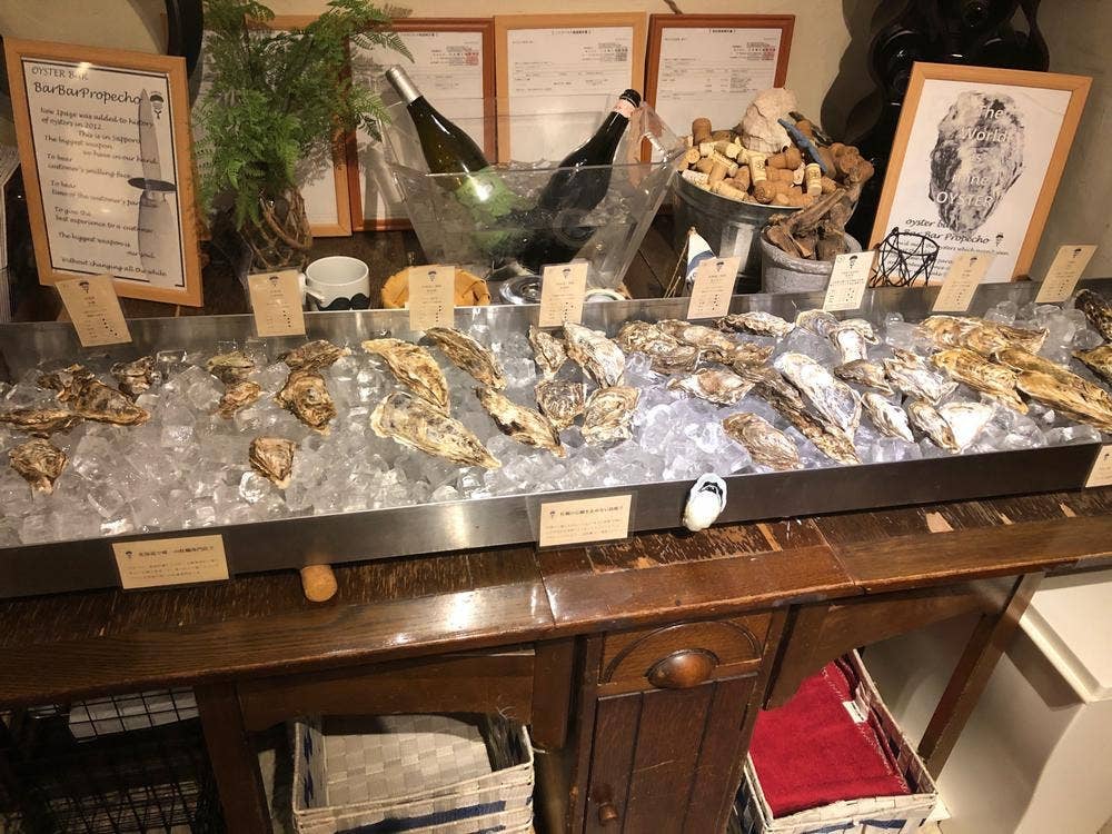 Oyster Bar BAR BAR PROPECHO