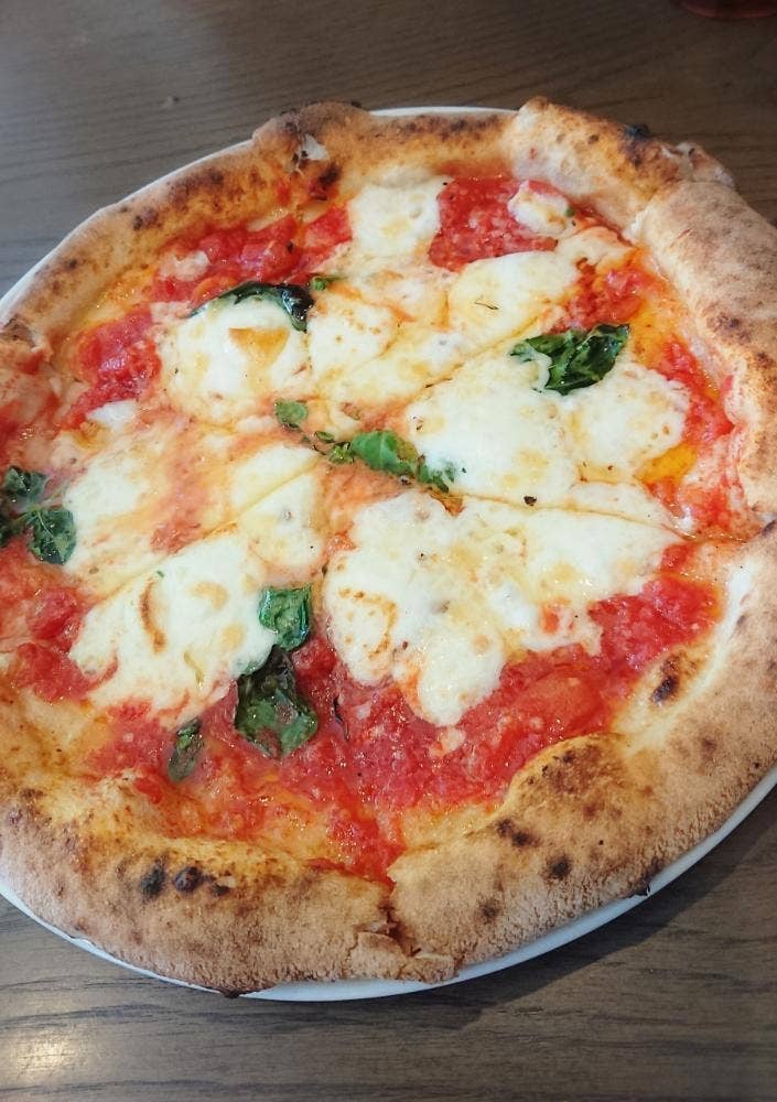 PIZZERIA dodo