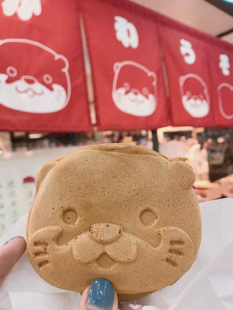 AQUA 和 伊勢シーパラダイス