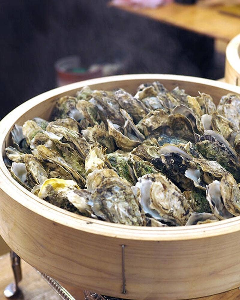 山海酒房 のんのこ