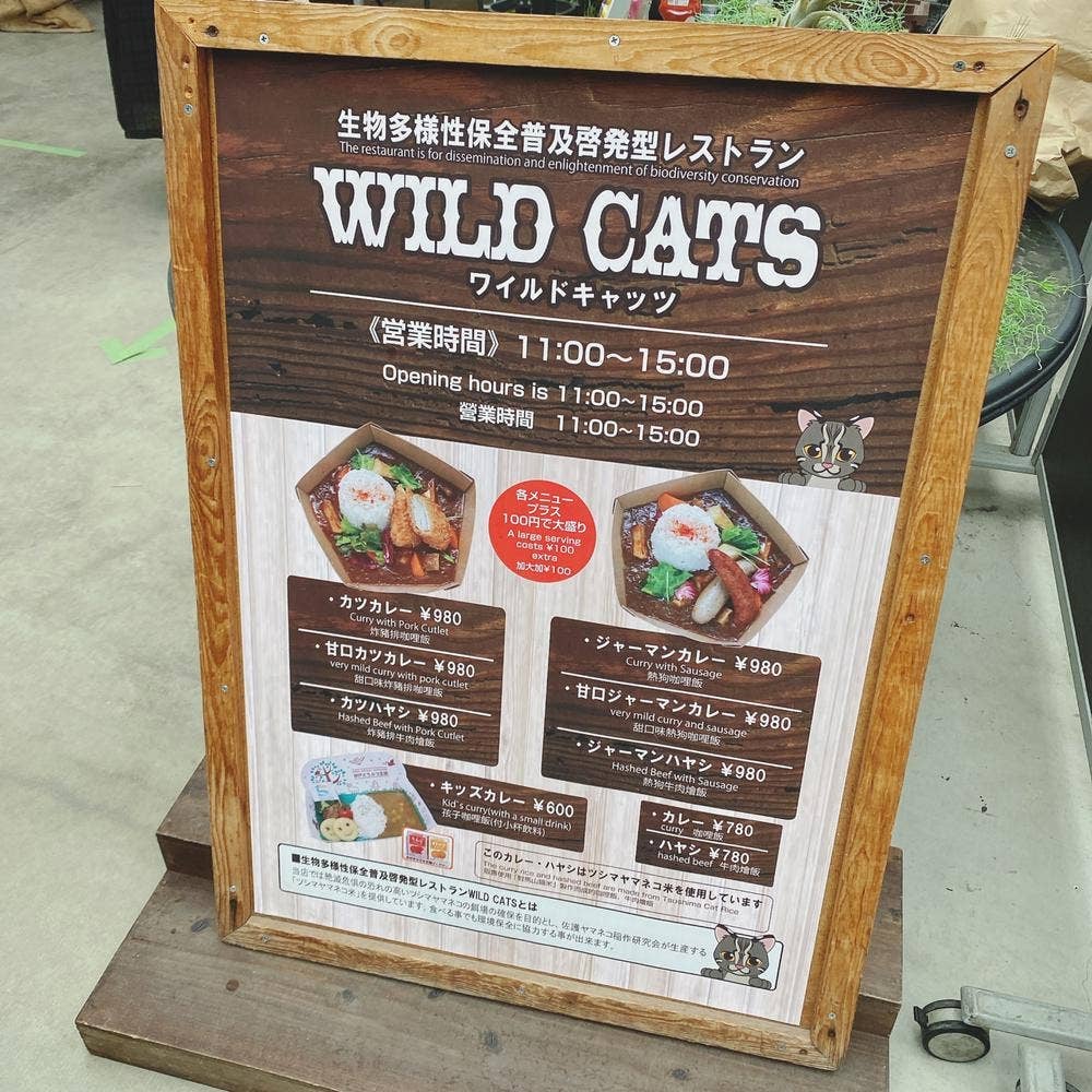 WILD CATS 神戸どうぶつ王国